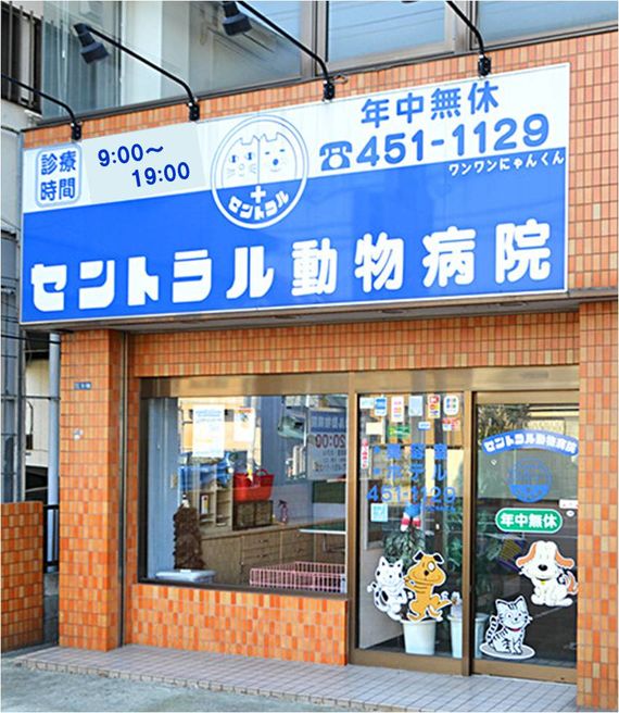 セントラル動物病院写真